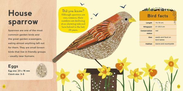 My First Book of Birds   Kinderbuch Englisch   Zoë Ingram Jetzt online – Bild 2