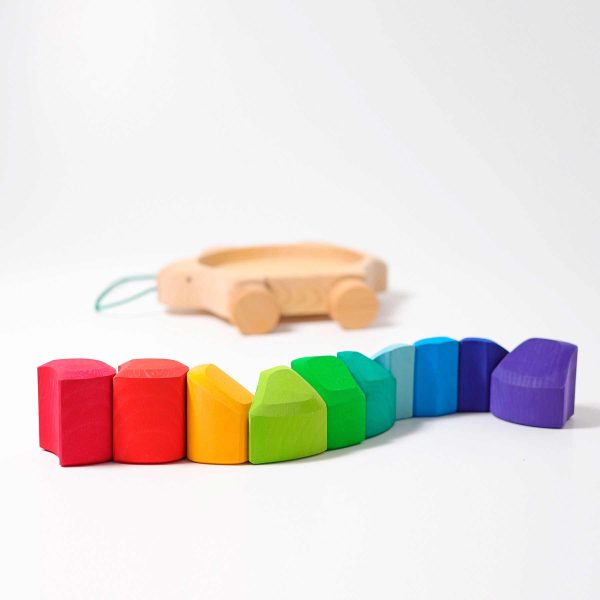 Regenbogen Schildkröte Angebot – Bild 5