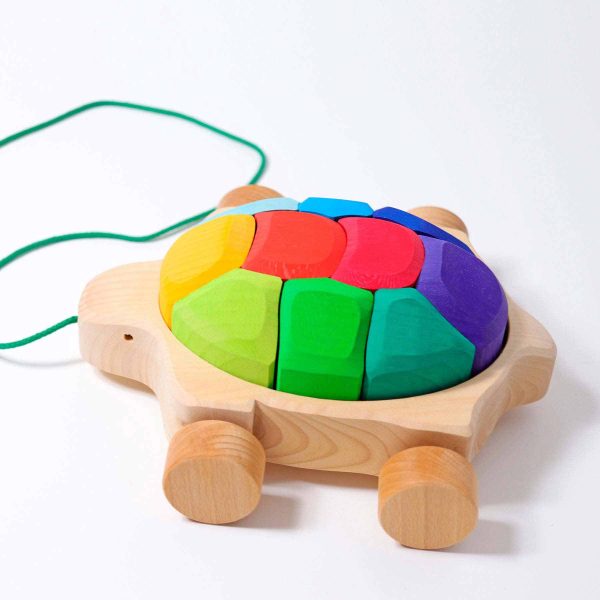 Regenbogen Schildkröte Angebot – Bild 4
