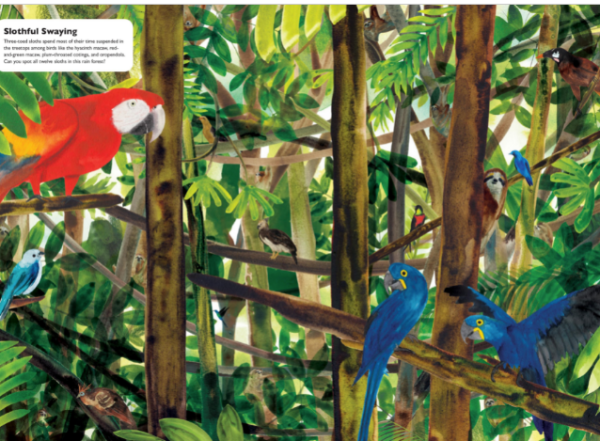 Masters of Disguise: Can You Spot the Camouflaged Creatures?   Kinderbuch Englisch   Marc Martin Verkauf – Bild 4