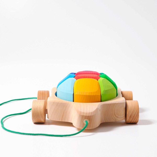Regenbogen Schildkröte Angebot – Bild 2