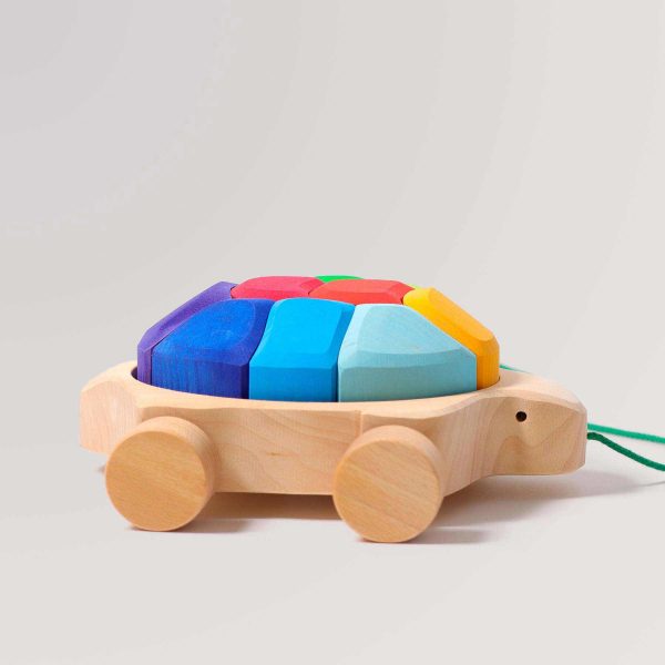 Regenbogen Schildkröte Angebot