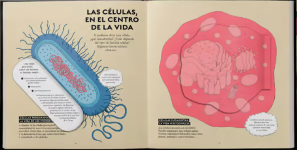 Vida   Bilderbuch Spanisch   Guillaume Duprat Angebot – Bild 2