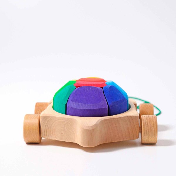 Regenbogen Schildkröte Angebot – Bild 3